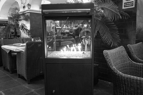 Marina De La Duquesa